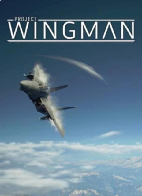 Project Wingman