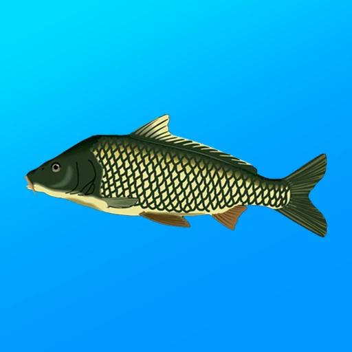 True Fishing. Simulator 1.16.7.835