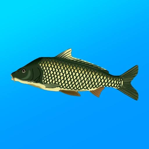 True Fishing. Simulator 1.16.5.828