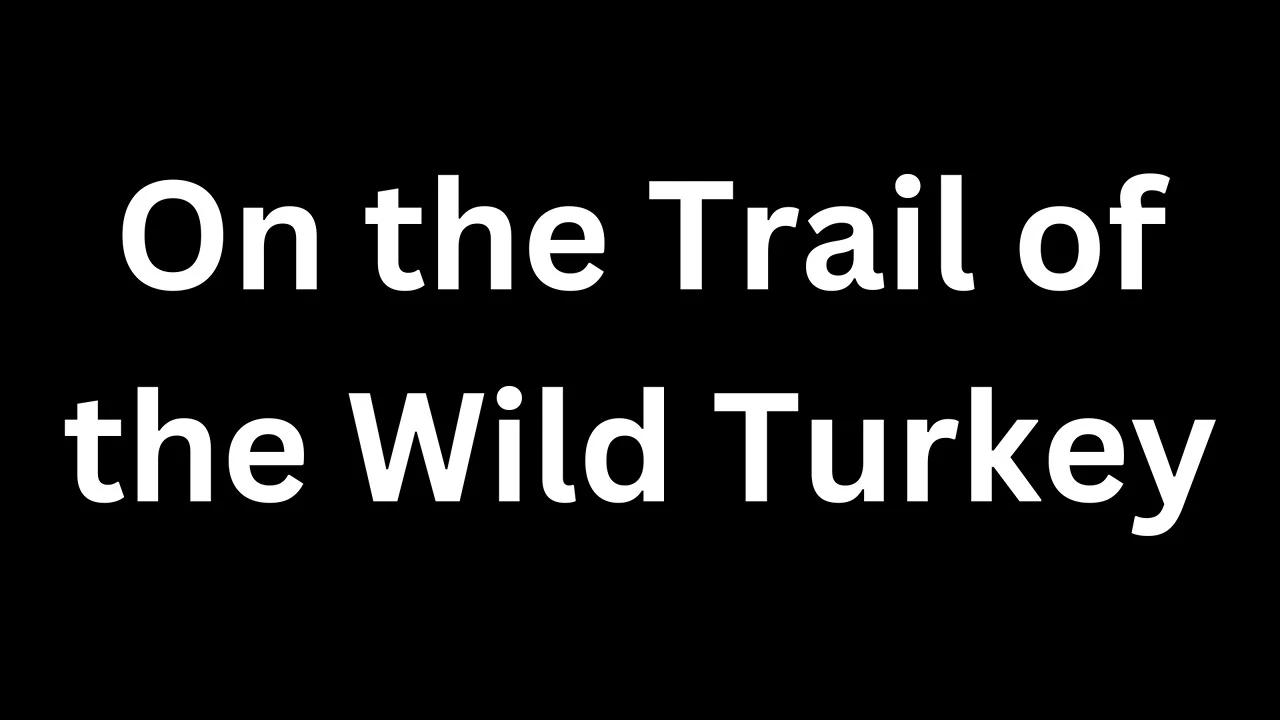 https://media.imgcdn.org/repo/2023/10/on-the-trail-of-the-wild-turkey/652e17bfa9f5a-on-the-trail-of-the-wild-turkey-FeatureImage.webp