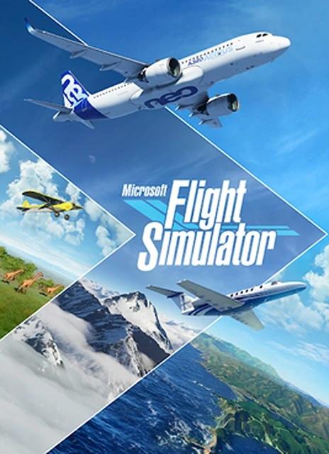 Microsoft Flight Simulator