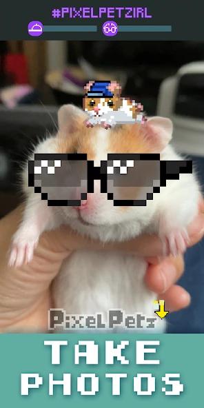https://media.imgcdn.org/repo/2025/04/pixel-petz/6810c040d6fa0-pixel-petz-screenshot6.webp