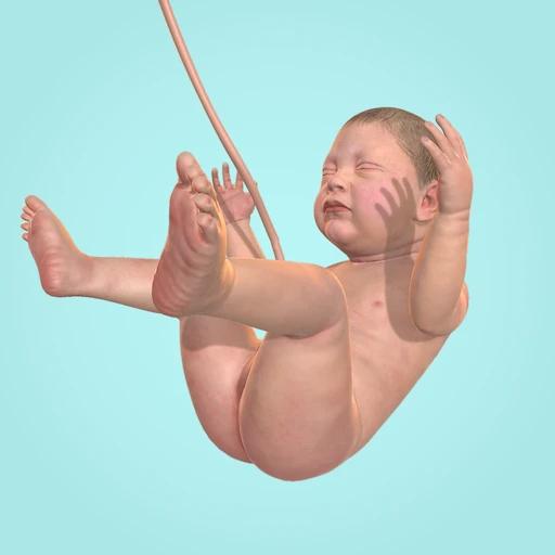 Idle 9 Months 1.37.1