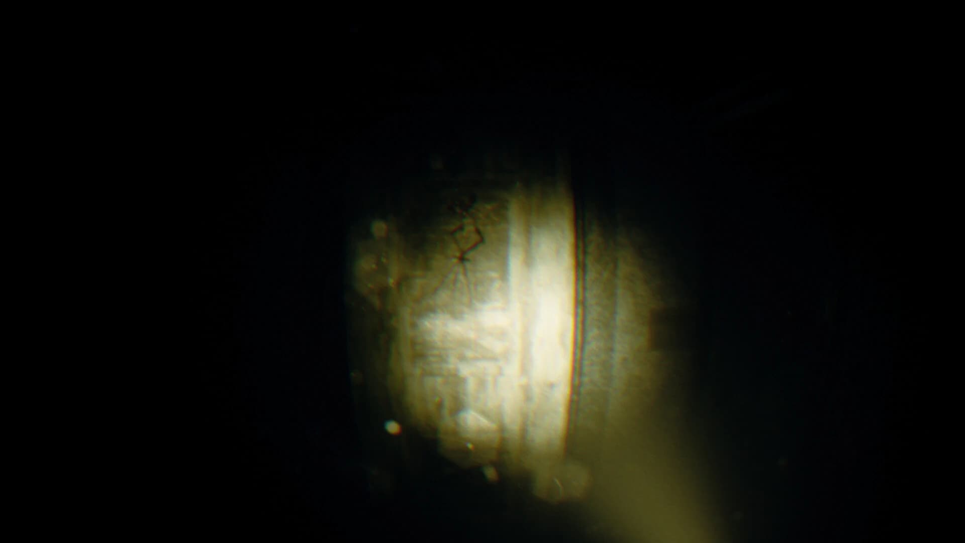 https://media.imgcdn.org/repo/2023/07/rec-beyond-the-lens/64ab8b3c676d0-rec-beyond-the-lens-screenshot4.webp