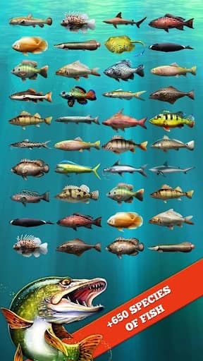 https://media.imgcdn.org/repo/2023/09/let-s-fish-fishing-simulator/6504073253364-let-s-fish-fishing-simulator-screenshot13.webp