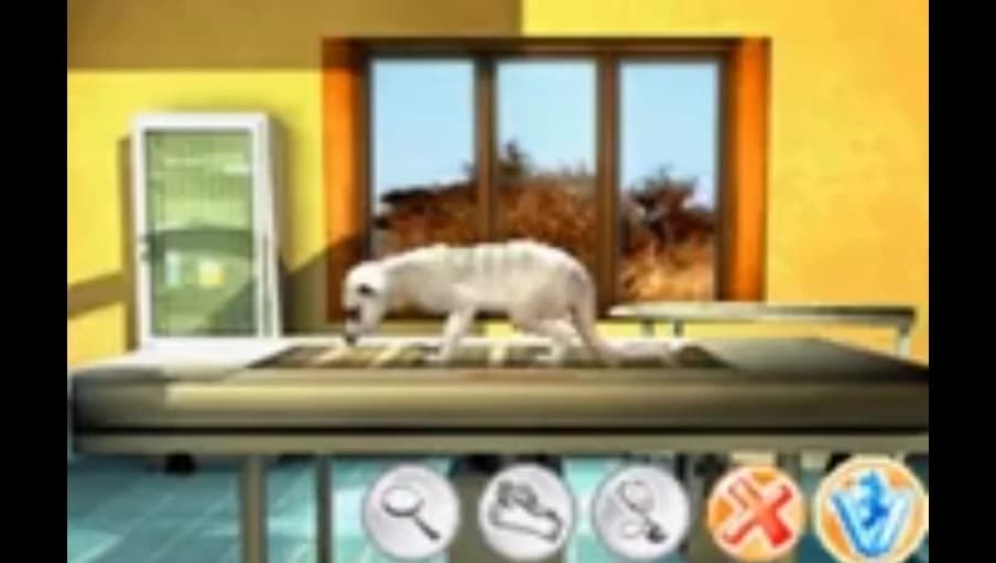 https://media.imgcdn.org/repo/2023/09/my-animal-centre-in-africa/65112004dda01-my-animal-centre-in-africa-screenshot2.webp