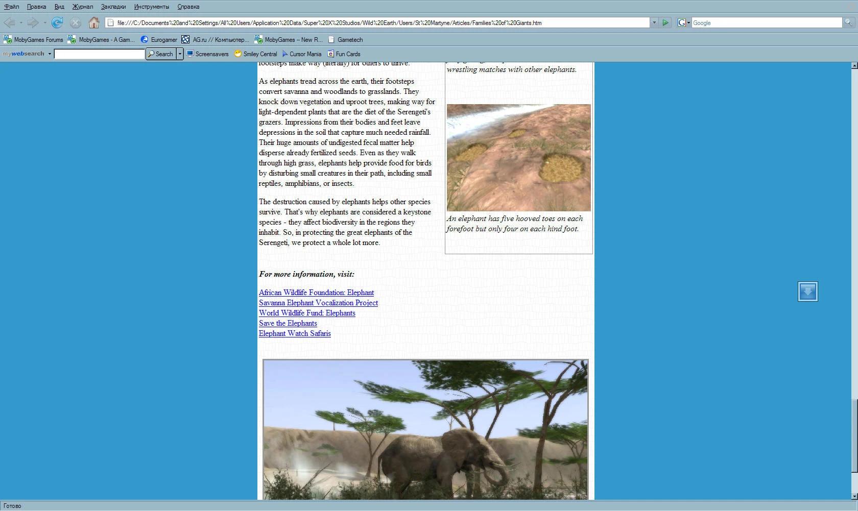 https://media.imgcdn.org/repo/2023/09/safari-photo-africa-wild-earth/6502b341d2858-safari-photo-africa-wild-earth-screenshot3.webp