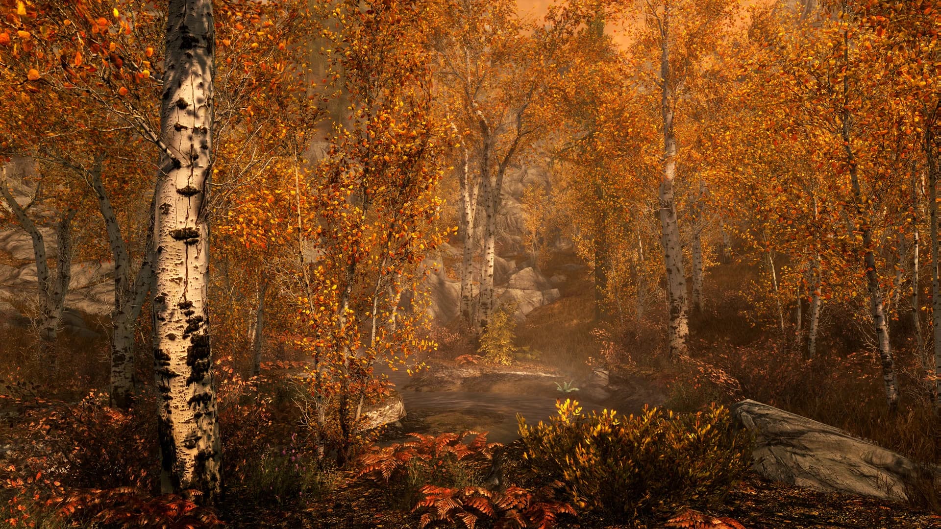 https://media.imgcdn.org/repo/2024/01/the-elder-scrolls-v-skyrim-special-edition/65adffcea708b-the-elder-scrolls-v-skyrim-special-edition-screenshot7.webp