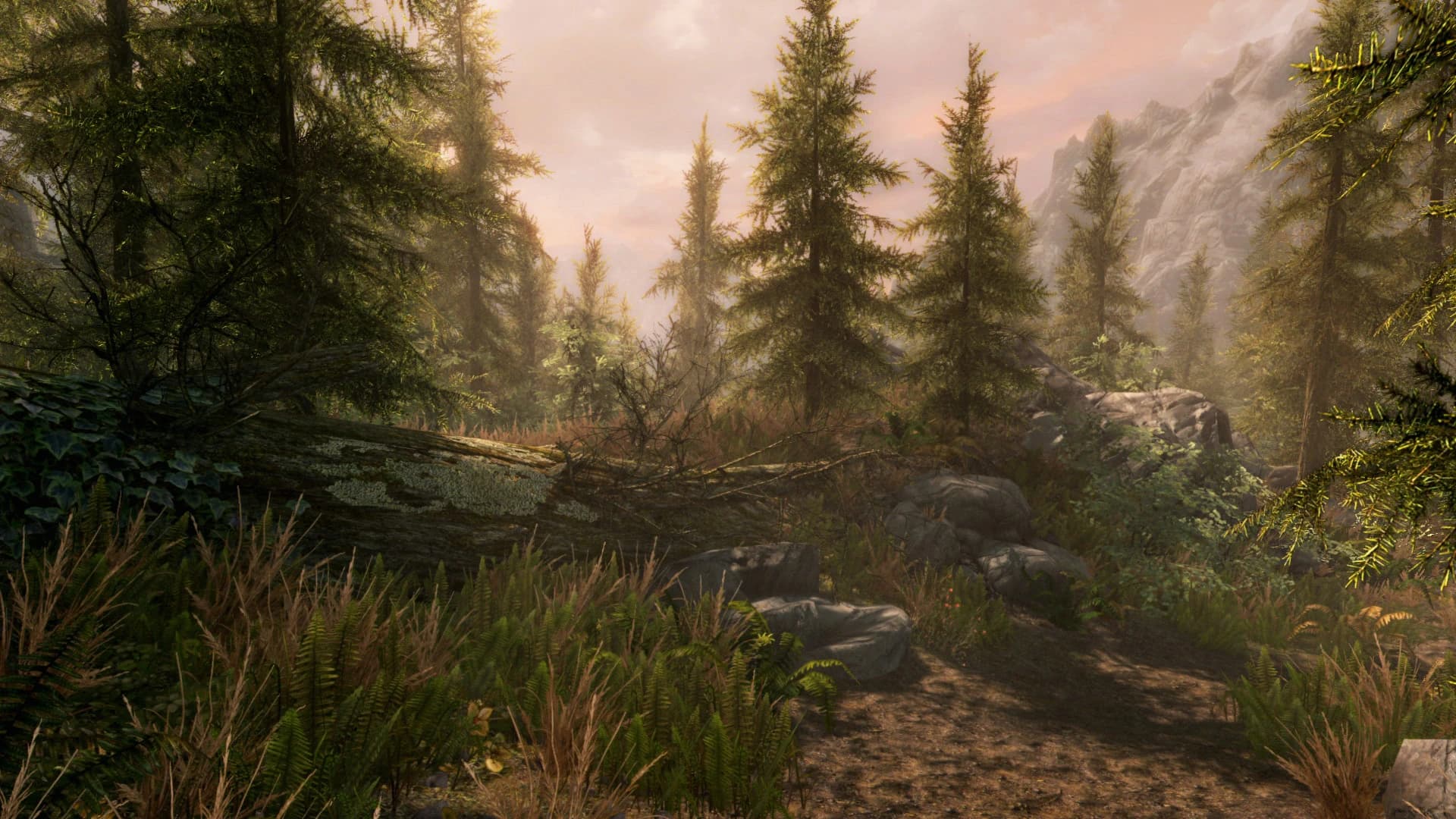 https://media.imgcdn.org/repo/2024/01/the-elder-scrolls-v-skyrim-special-edition/65adffcee4d4e-the-elder-scrolls-v-skyrim-special-edition-screenshot8.webp