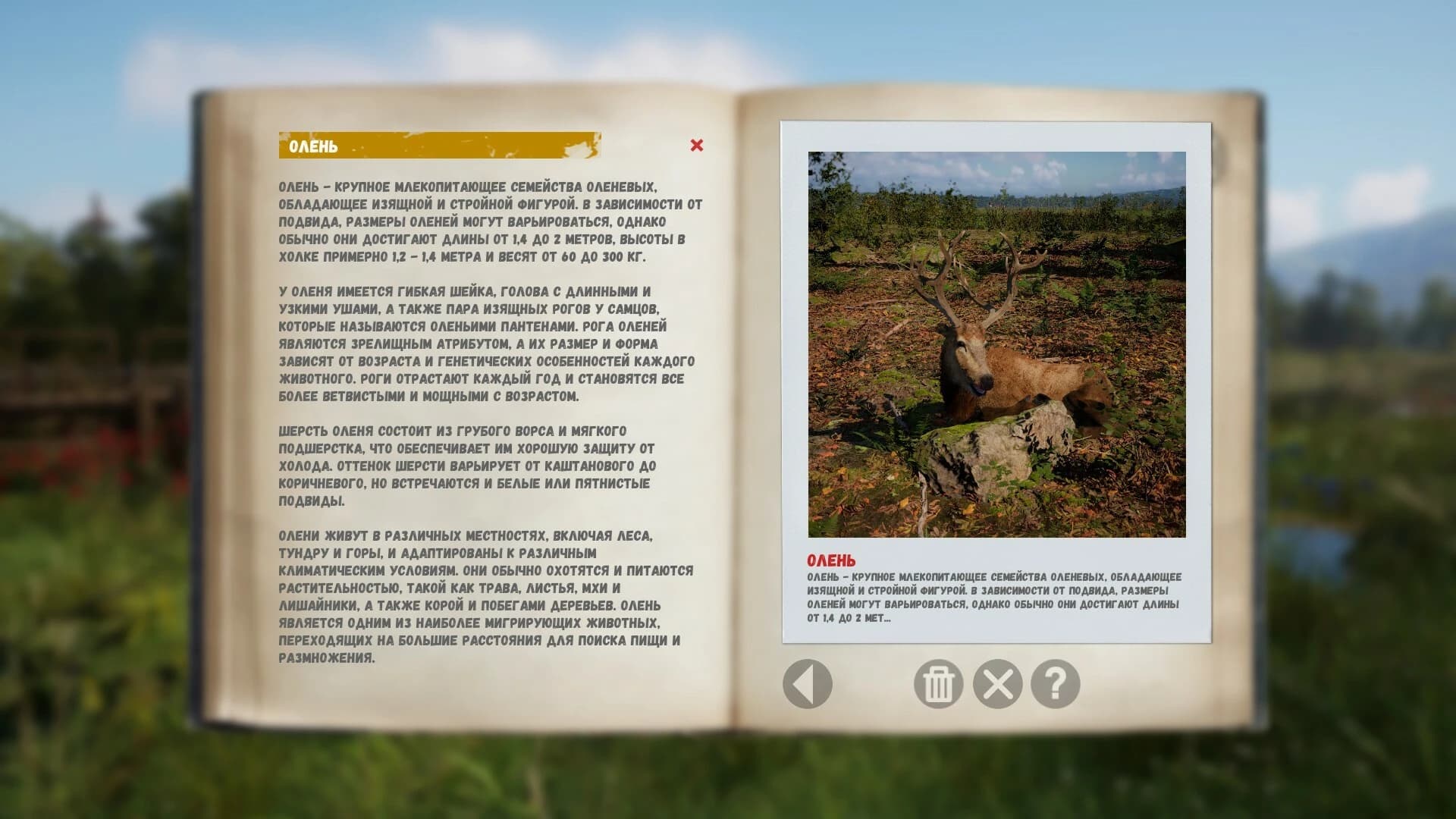 https://media.imgcdn.org/repo/2024/03/russian-soul-simulator/65e69542bd8e9-russian-soul-simulator-screenshot2.webp