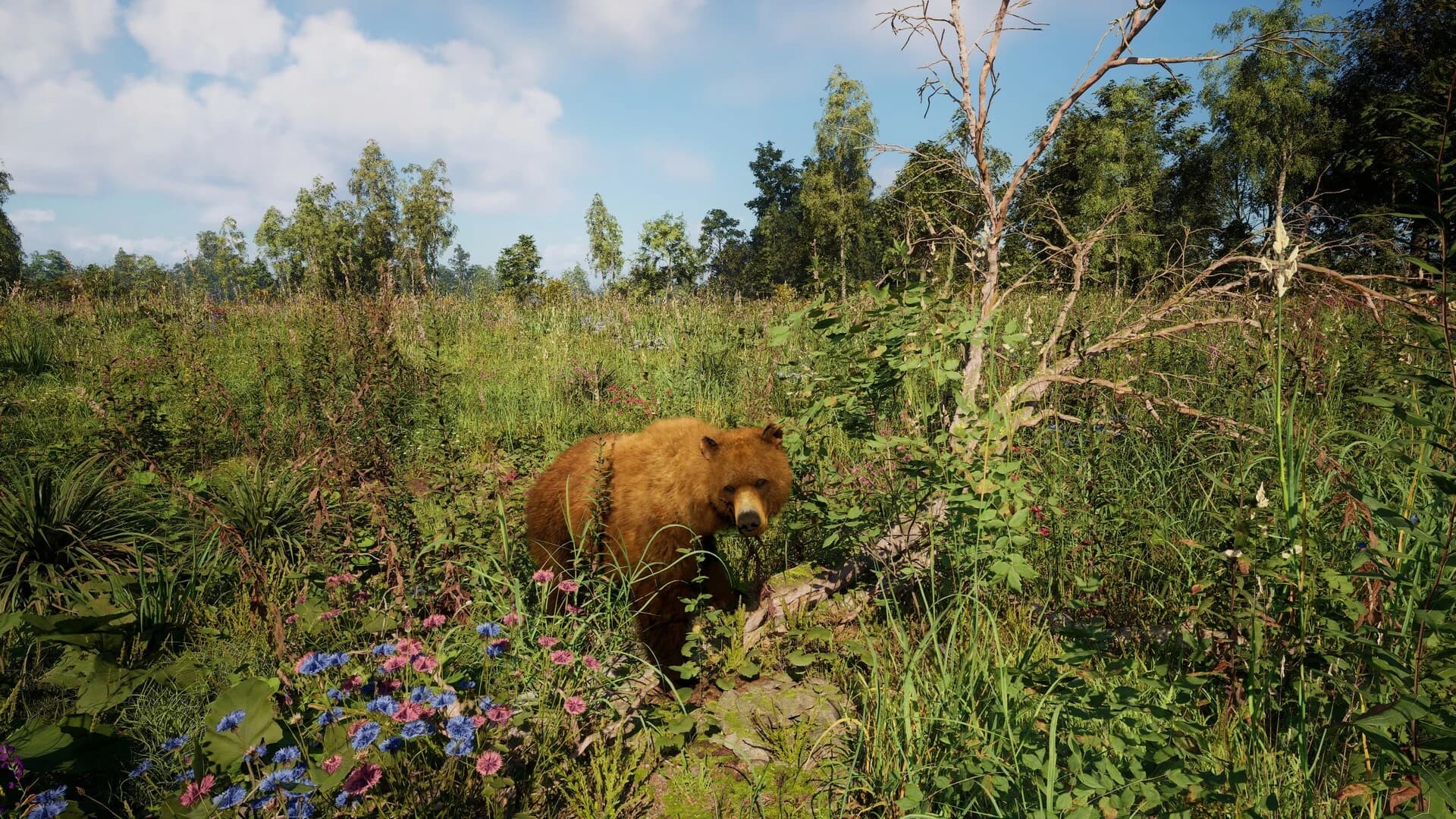 https://media.imgcdn.org/repo/2024/03/russian-soul-simulator/65e695430cec7-russian-soul-simulator-screenshot3.webp