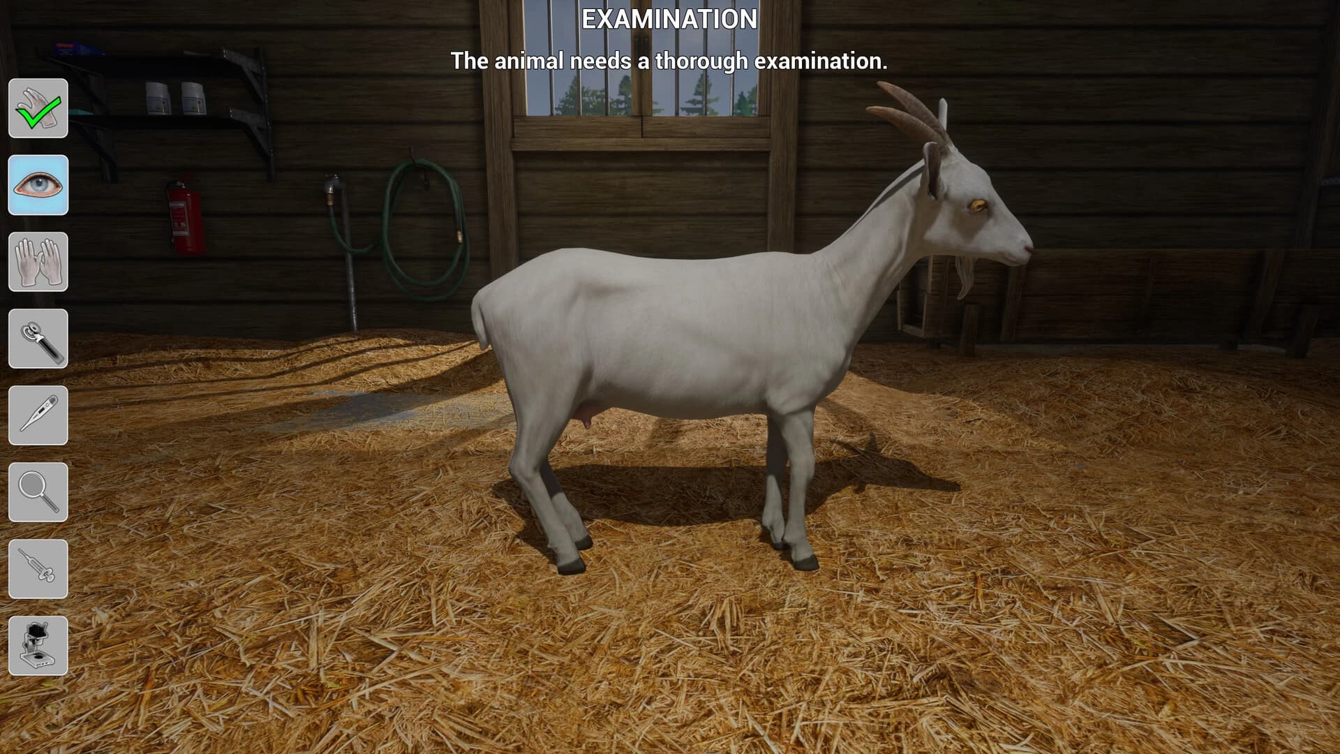 https://media.imgcdn.org/repo/2024/04/my-life-farm-vet/661e12710b1ef-my-life-farm-vet-screenshot8.webp
