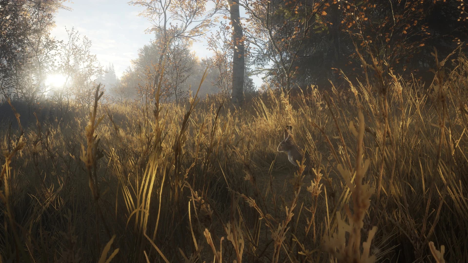 https://media.imgcdn.org/repo/2024/06/thehunter-call-of-the-wild/6678f07d95e93-thehunter-call-of-the-wild-screenshot8.webp