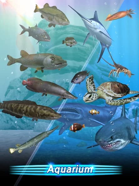 https://media.imgcdn.org/repo/2024/08/fishing-season-river-to-ocean/66d14c2e28b48-fishing-season-river-to-ocean-screenshot12.webp