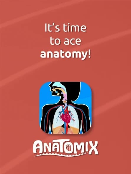 https://media.imgcdn.org/repo/2024/09/human-anatomy-body-parts/66e82152e810a-human-anatomy-body-parts-screenshot14.webp