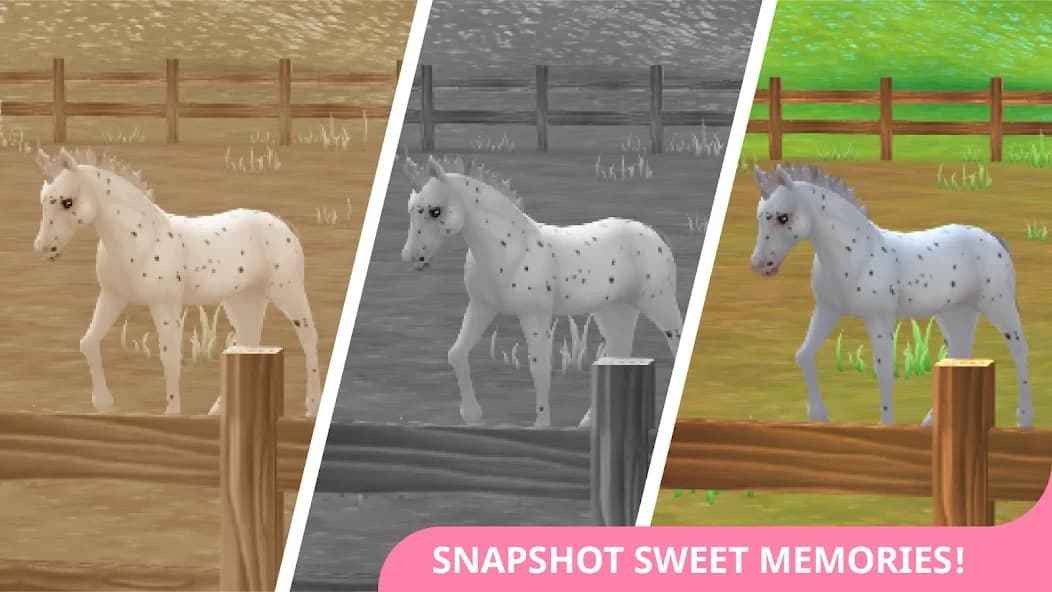 https://media.imgcdn.org/repo/2024/09/star-stable-horses/66eac99a9a13d-star-stable-horses-screenshot10.webp