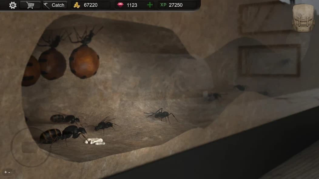 https://media.imgcdn.org/repo/2024/10/ant-sim-tycoon/67120b69e3b2a-com-trinitygames-antsim-screenshot13.webp