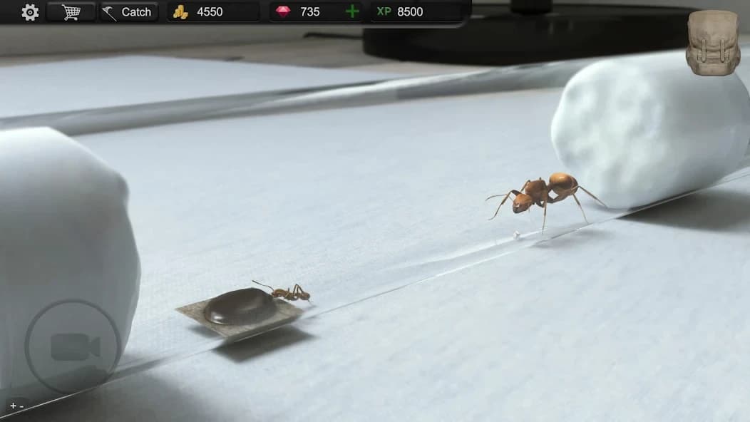 https://media.imgcdn.org/repo/2024/10/ant-sim-tycoon/67120b6d2d010-com-trinitygames-antsim-screenshot17.webp