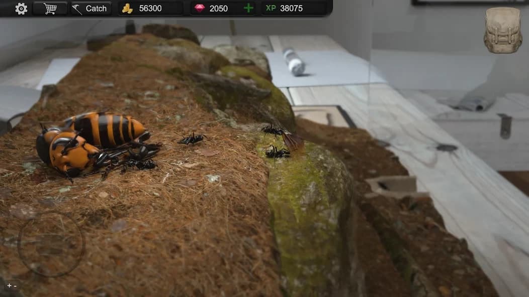 https://media.imgcdn.org/repo/2024/10/ant-sim-tycoon/67120b6e22864-com-trinitygames-antsim-screenshot18.webp