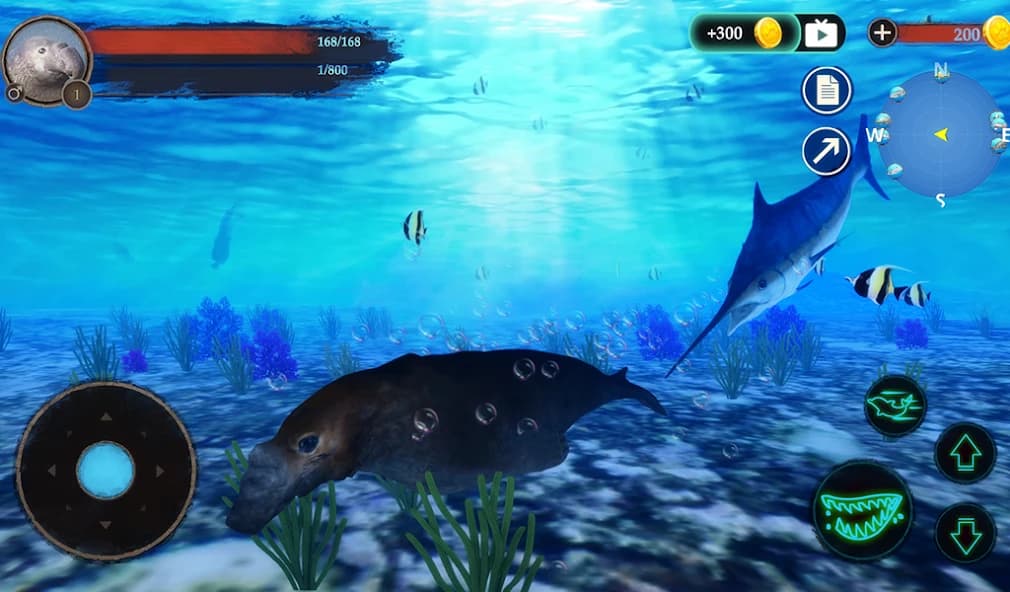 https://media.imgcdn.org/repo/2024/10/the-seal-elephant/66fba6a0d5f2b-com-wildlife-sealelephant-screenshot3.webp