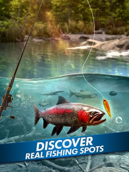 https://media.imgcdn.org/repo/2024/12/go-fishing-fish-game/675ffe0cb9ab1-go-fishing-fish-game-screenshot18.webp