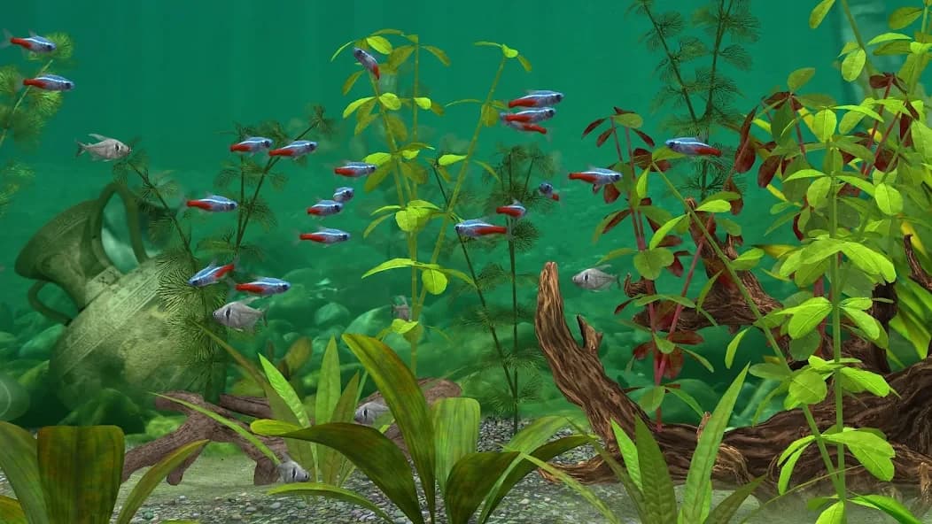 https://media.imgcdn.org/repo/2025/01/fish-farm-3-aquarium/6791dbb862f40-fish-farm-3-aquarium-screenshot13.webp